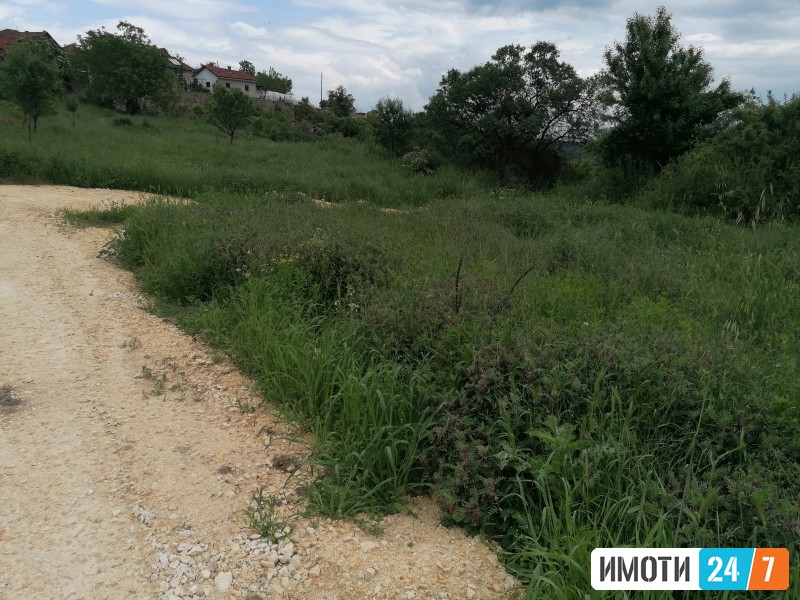 Sell Plot in   Sopishte