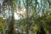 Rent Apartment in   Pintija