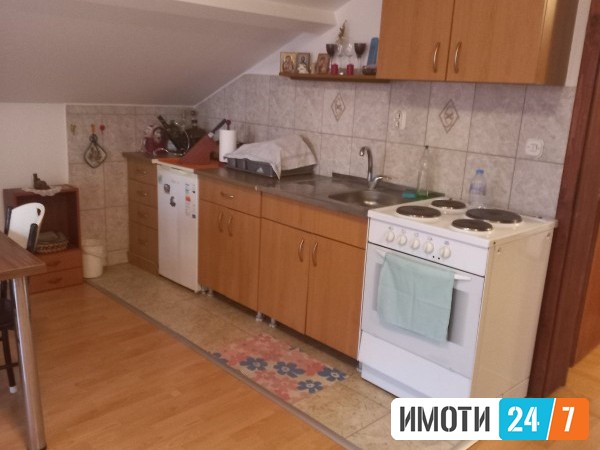 Rent Apartment in   Pintija