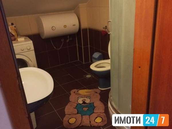 Rent Apartment in   Pintija
