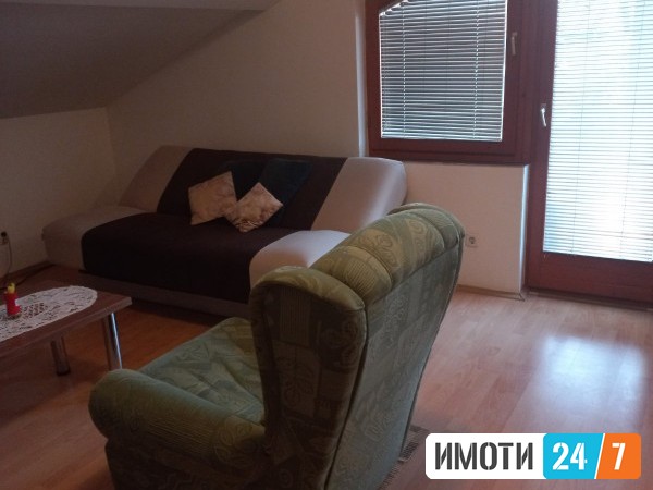 Rent Apartment in   Pintija