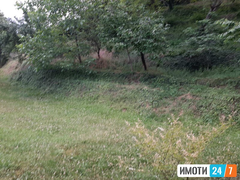 Се издава Стан во  нас Козле