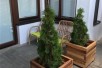Се издава Стан во  нас Црниче