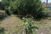 Се продава Куќа во  нас КВода