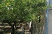 Се продава Куќа во  нас КВода