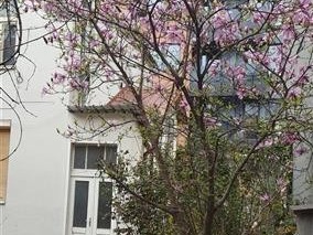 Се продава Стан во  нас Центар