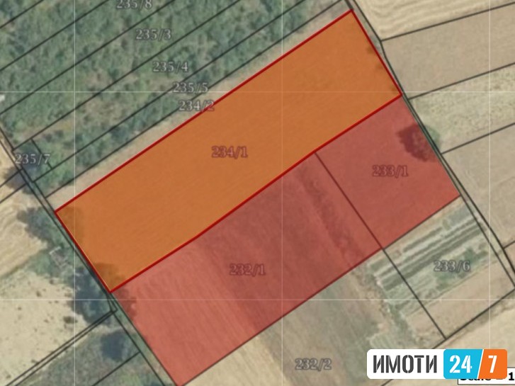 Sell Plot in   Zlokukjani
