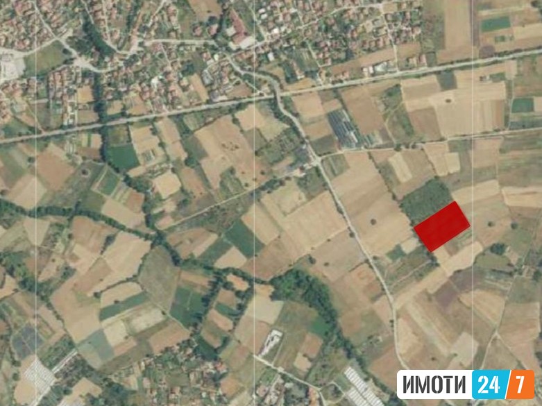 Sell Plot in   Zlokukjani