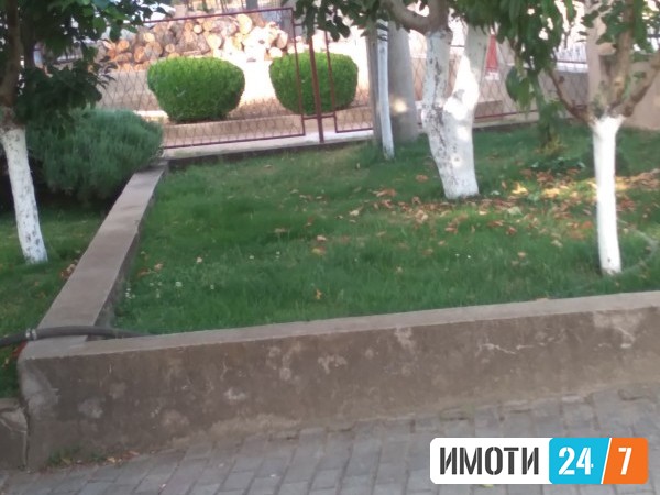 Sell House in   Pintija