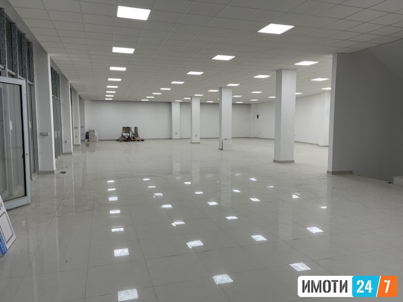 Rent Office space in   Pintija