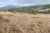 Се продава Плац во  нас КВода