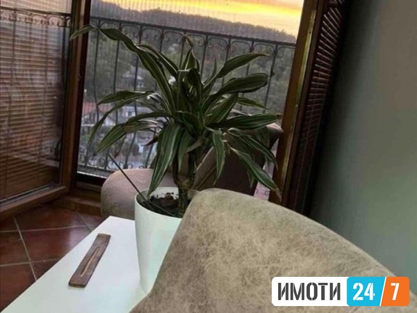 Sell Apartment in   Vodno