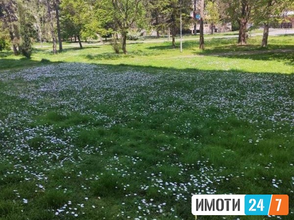 Sell Apartment in   Karposh 3