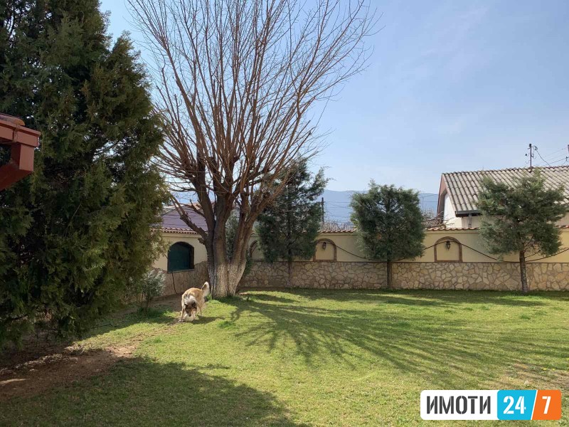 Rent House in   Zlokukjani