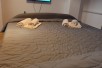 Rent Apartment in   Aerodrom