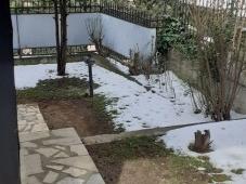 Се издава Куќа во  нас Водно