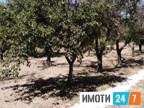 Се продава семејна куќа 200м2НЛисиче
