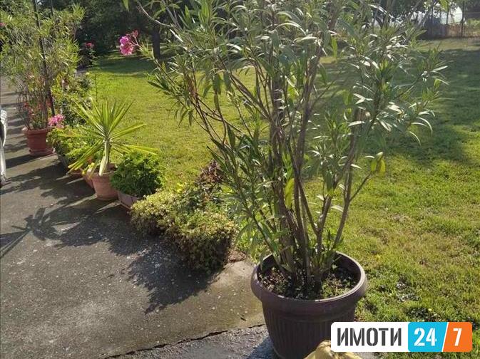 Се продава семејна куќа 96м2Трубарево